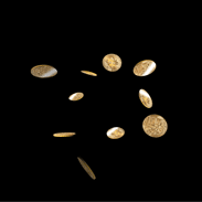 TESLATOTO-Coin.gif
