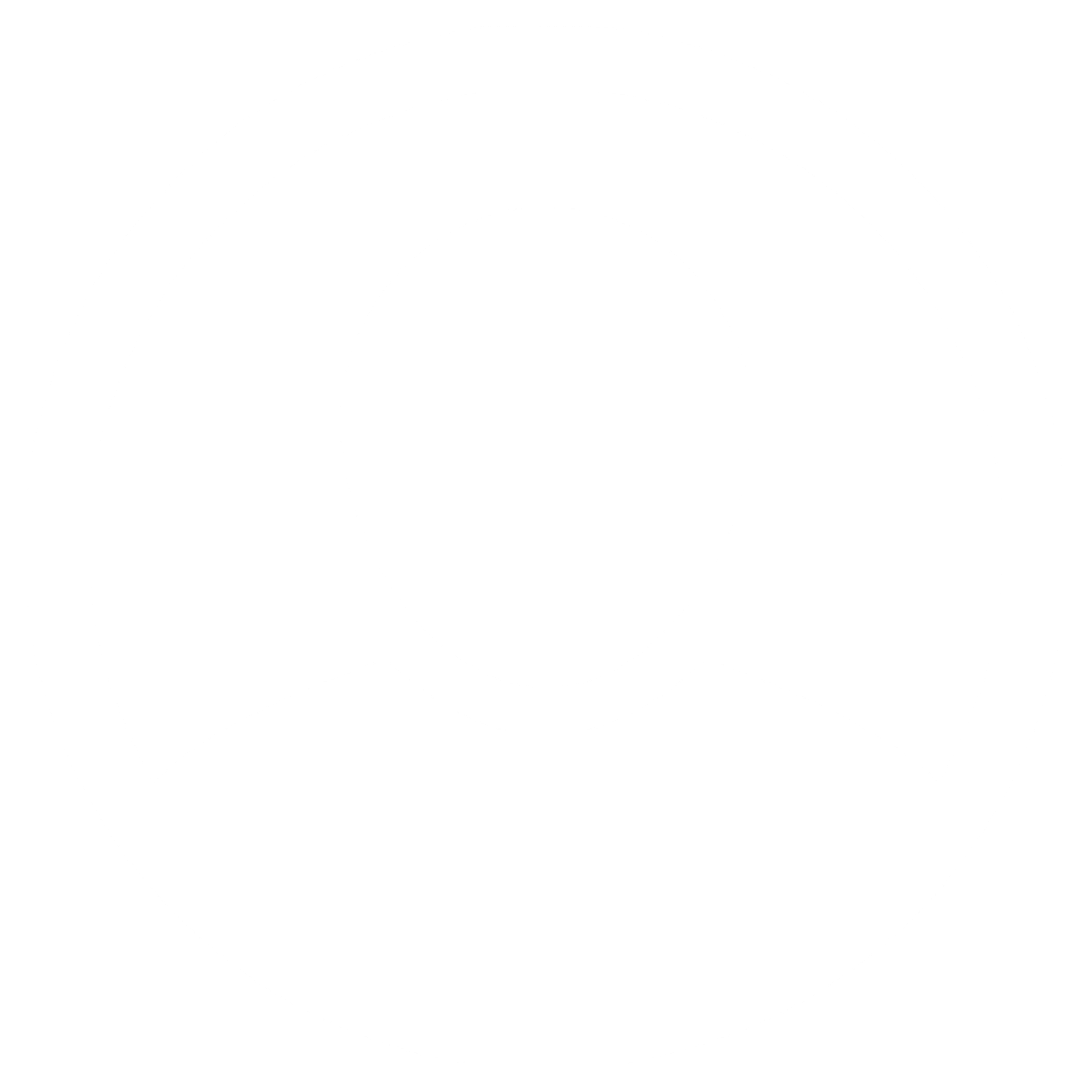 teslatoto