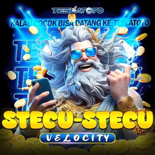 TESLATOTO-StecuStecu-Velocity.jpg