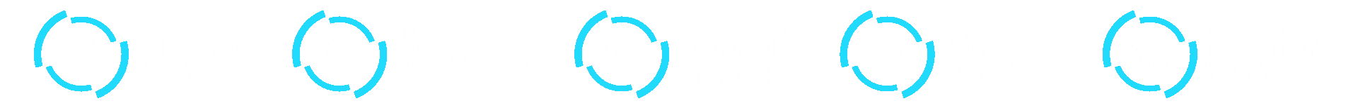 TESLATOTO Icon